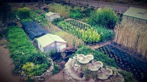 11755646_697172003743811_5620630797253400652_n