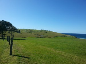 The house will dominate this view from Gerringong Golf Course