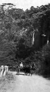 The Kiama Bends, 1915, from the Hindmarsh collection 